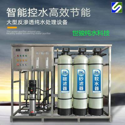 惠州二级反渗透纯水设备 世骏纯水科技专注18年丰富经验