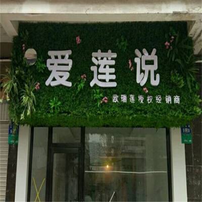 人工绿化人造绿植墙金钱草门面招牌壁挂遮盖装饰仿真塑料植物墙