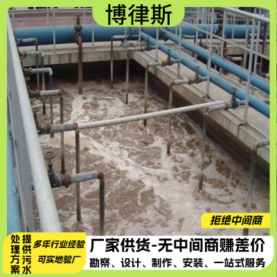 厂家定制溶气气浮机 造纸污水处理设备批发生产 食品行业污水处理