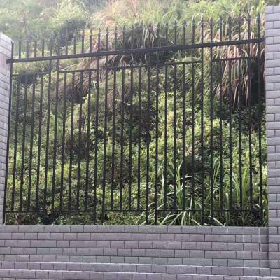 供应广东围墙护栏小区社区护栏别墅防盗栏杆生产安装