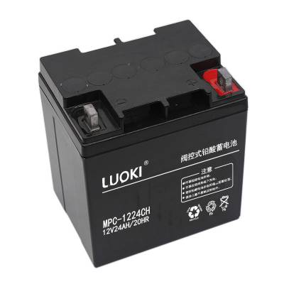 LUOKL湤ҵMPC-1224AH 12V24AH UPS/EPSԴ 