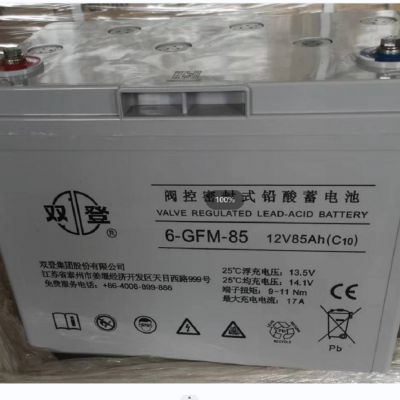 ˫ ܷʽǦ 6-GFM-85 (C20)