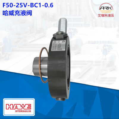 Hawe F50-25V-BC1-0.6 Һy