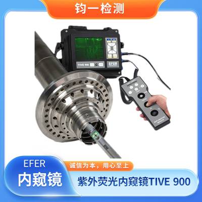  EFER TIVE900  ARGUS 900 ҵڿ 𳵻