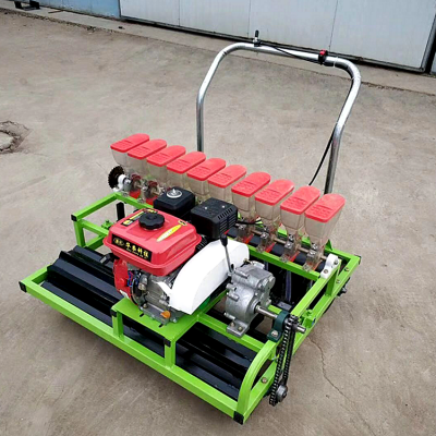 手推式白萝卜播种机 蔬菜小粒种子精播机 多行甜菜茴香播种机