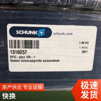 德国SCHUNK 300085 BSWS-SBR-PGZN-PLUS 125