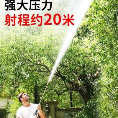 大功率养殖场洗车喷雾 洗车水枪洗车神器 超高压洗车机