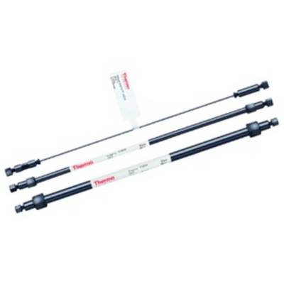 Ĭ Dionex? 066294 AS17-C ӷ,4X250MM