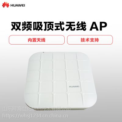 ΪAP3010DN-V2˫Ƶʽҵ·