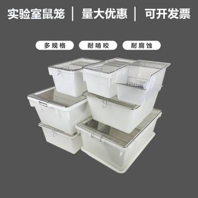 大小鼠笼实验室饲养群养鼠笼小鼠饲养笼子大鼠饲养