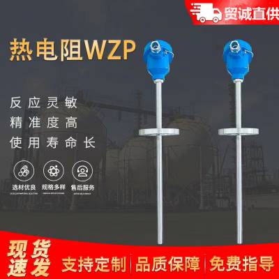 皖贸诚 铠装热电阻WZPK-534 304/316材质 使用寿命久 适用范围广