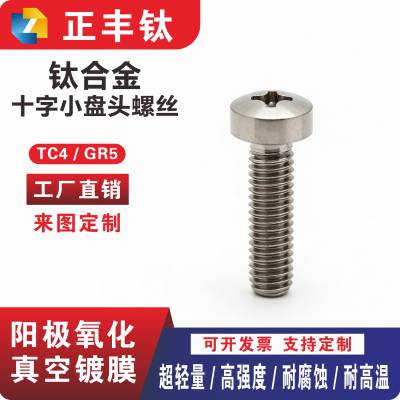钛合金螺丝TC4 十字圆头螺钉 盘头螺栓 加长螺丝钉 来图加工定制