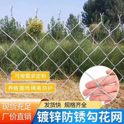 兴来 加粗 矿用编织 植草喷播 镀锌勾花网定做厂