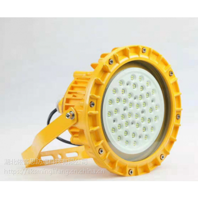 RLEEXL601-LED防爆泛光灯24w 、90°壁弯式安装