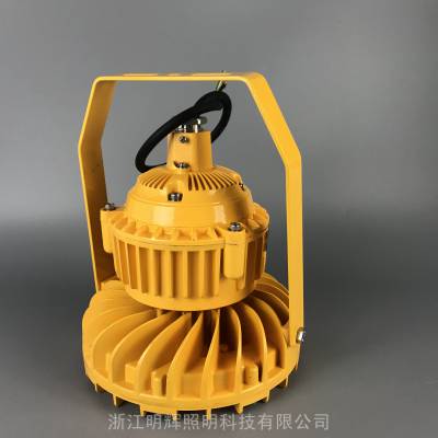 50Wled-ExdIICT6-IP65-AC220Vվ