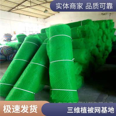 安康世杰EM3固土三维植被网 植草加筋网垫 减少边坡土壤的水分蒸发