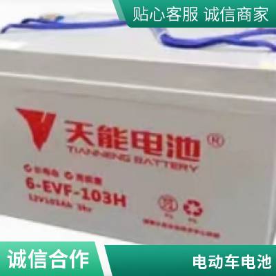 6-EVF-120-12v120AHά綯泵ϴػֵ綯Ǧ