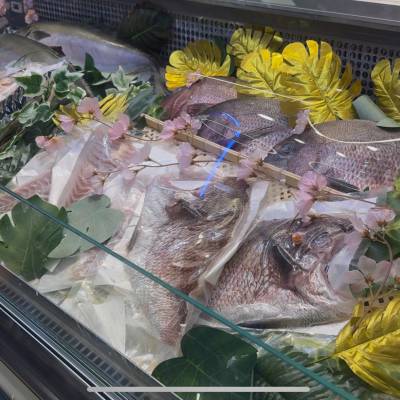 2026西班牙巴塞罗那全球水产展Seafood Expo Globa