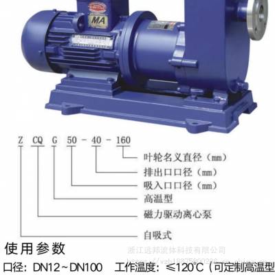 远邦30年生产厂家直供自吸式磁力传动离心泵