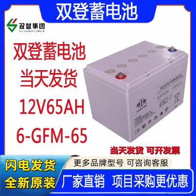 ˫6-GFM-65ǦὺάUPSԴֱ12V65AH