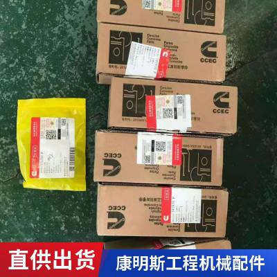 优质供应适用于东风康明斯6BT5.9发动机配件喷油器3802677