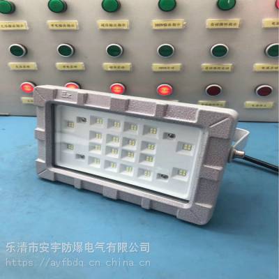 防爆LED探照灯 220V 50HZ 100W EXDIICT6