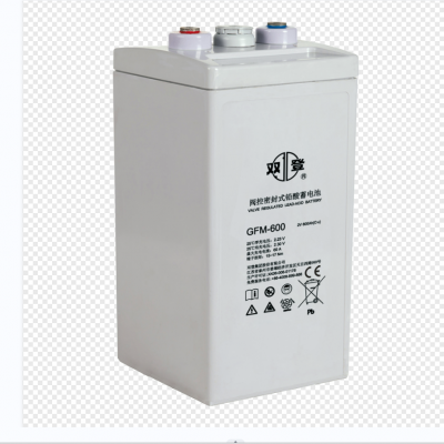 ˫ǦƷƷܱʽ GFM-600 (C10)