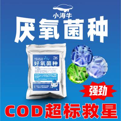 ***种用于高cod污水处理厌氧塔厌氧池处理工艺