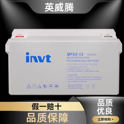 INVT英威腾 电梯平层 储能蓄电池 阀控式 MF250-12/12V250AH 应急系统