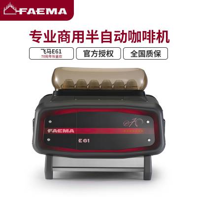 FAMEA E61 A2˫ͷذԶȻʽ