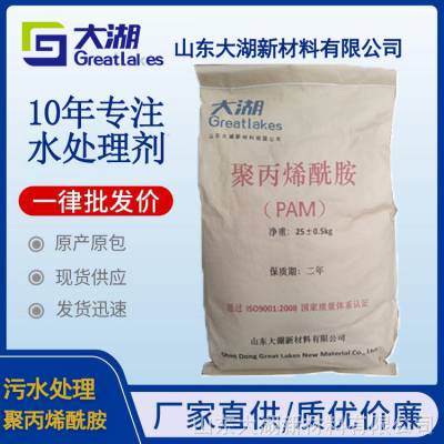 阴离子聚丙烯酰胺PAM现货 电厂沉淀池常用絮凝沉淀剂山东大湖新材料