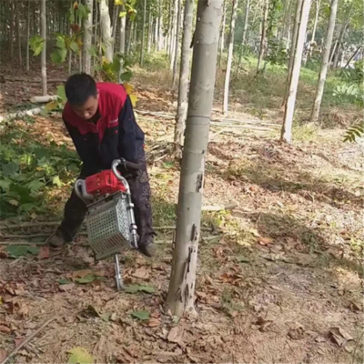 园林挖树起苗机 汽油小型移栽机 苗木断根挖树机