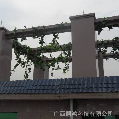 ˮ绰