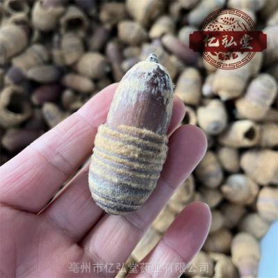 狗鞭果泡酒功效亿弘堂三千多种药材大全