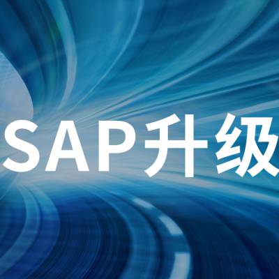 SAP BW迁移到S4实施服务商 SNP公司
