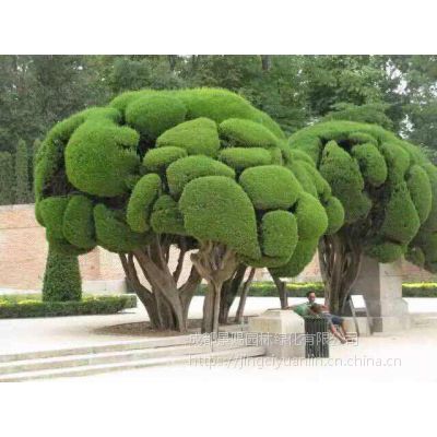 ɶزſڰڷŵ