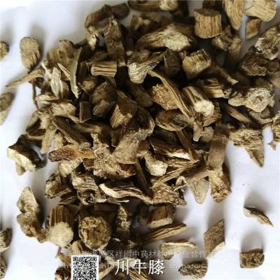 川牛膝药用用法及用量 白牛膝药用有什么药效