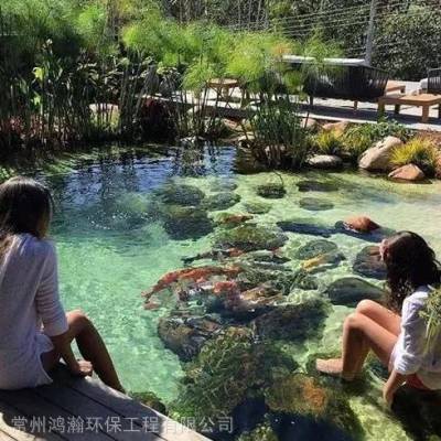 合肥市家庭鱼池水浑浊、水发绿处理公司