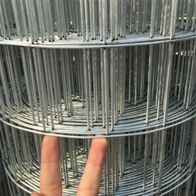 圈玉米电焊网/电焊网围栏/热镀锌圈棒子网圈玉米网价格5.16