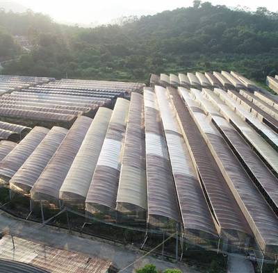 番禺区学校蔬菜配送-康峰食品广州配送-学校蔬菜配送基地