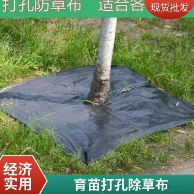 聚丙烯黑色防草布 盖草布园艺地布除草布 果园大棚防草布厂家