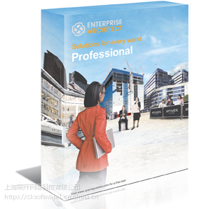 Enterprise Architect Professional Edition۸Ǯ