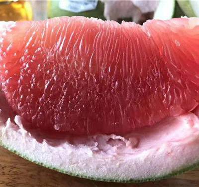 红宝石青柚苗 泰国柚子苗 泰国青皮红心柚子苗预定有优惠