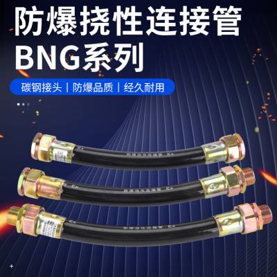 防爆挠性管 BNG-20*1000防爆绕性穿线管 4分6分1寸