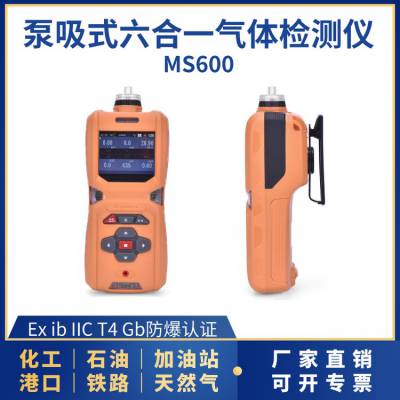 MS600六合一气体检测仪 石油化工天然气餐饮环境检测