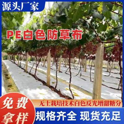 蓝莓孔防草布固定 渗水透水盖草布 大棚专用除草布 保肥抗微生物性好