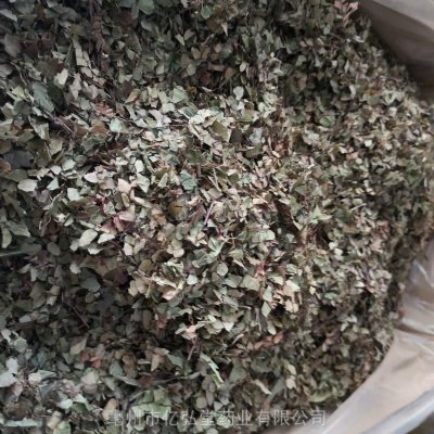 猪鬃草药用有什么价值 铁线蕨哪里可以购买到多少钱一公斤
