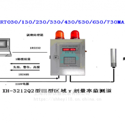 XH-3212Q2 Ⅲ型区域γ剂量率监测道(双G-M计数管探测器)