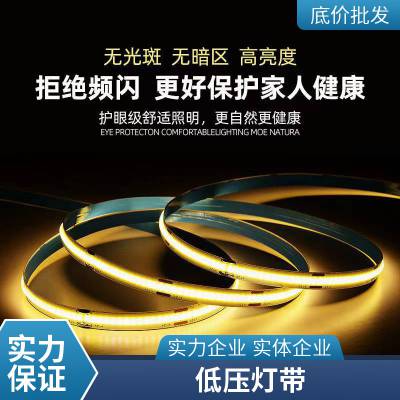 防水LED灯带 景观鱼缸水下24v低压超亮5050七彩户外IP68水下软灯条