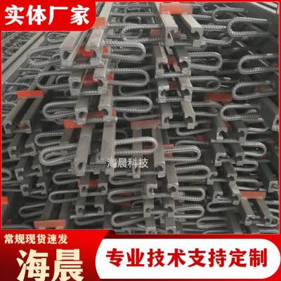 铁路伸缩缝变形缝TSSF型伸缩缝施工安装修补更换 海晨